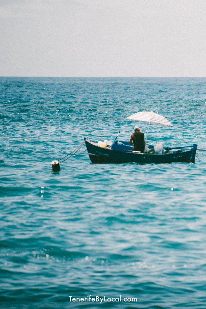 fisherman near Los Gigantes