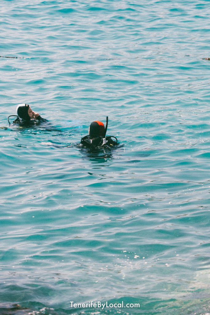 diving in los gigantes